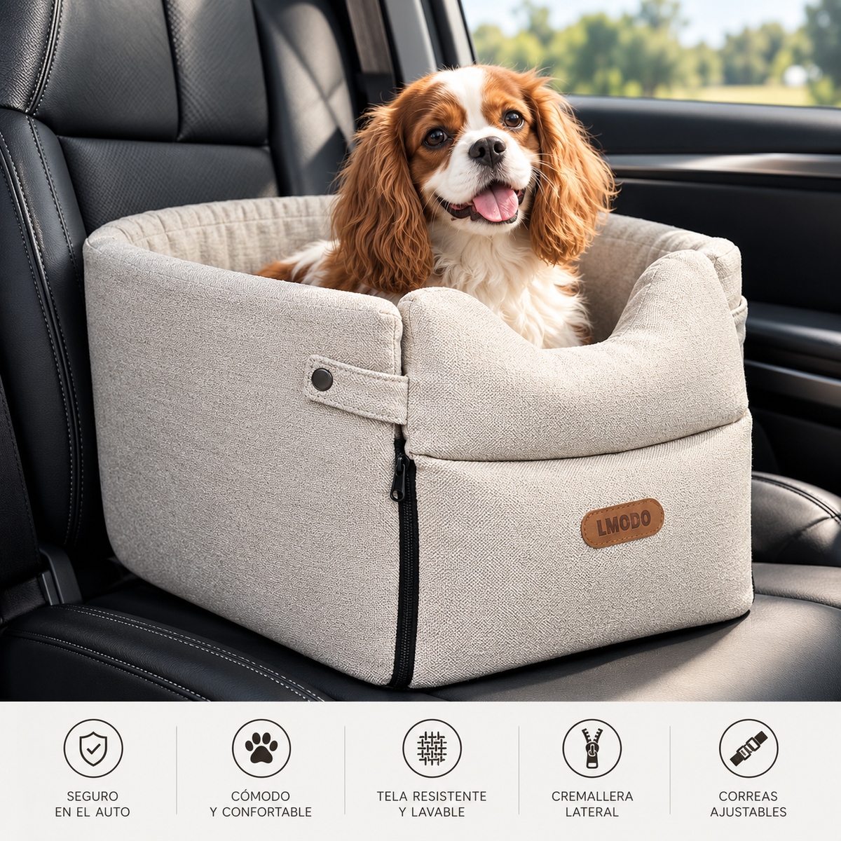 Portable Pet Bed for Small Dogs & Cats
